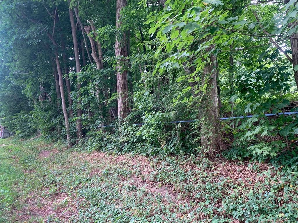 Terreno de 0 quartos em 0 Chestnut Plain Rd (Ws), Whately